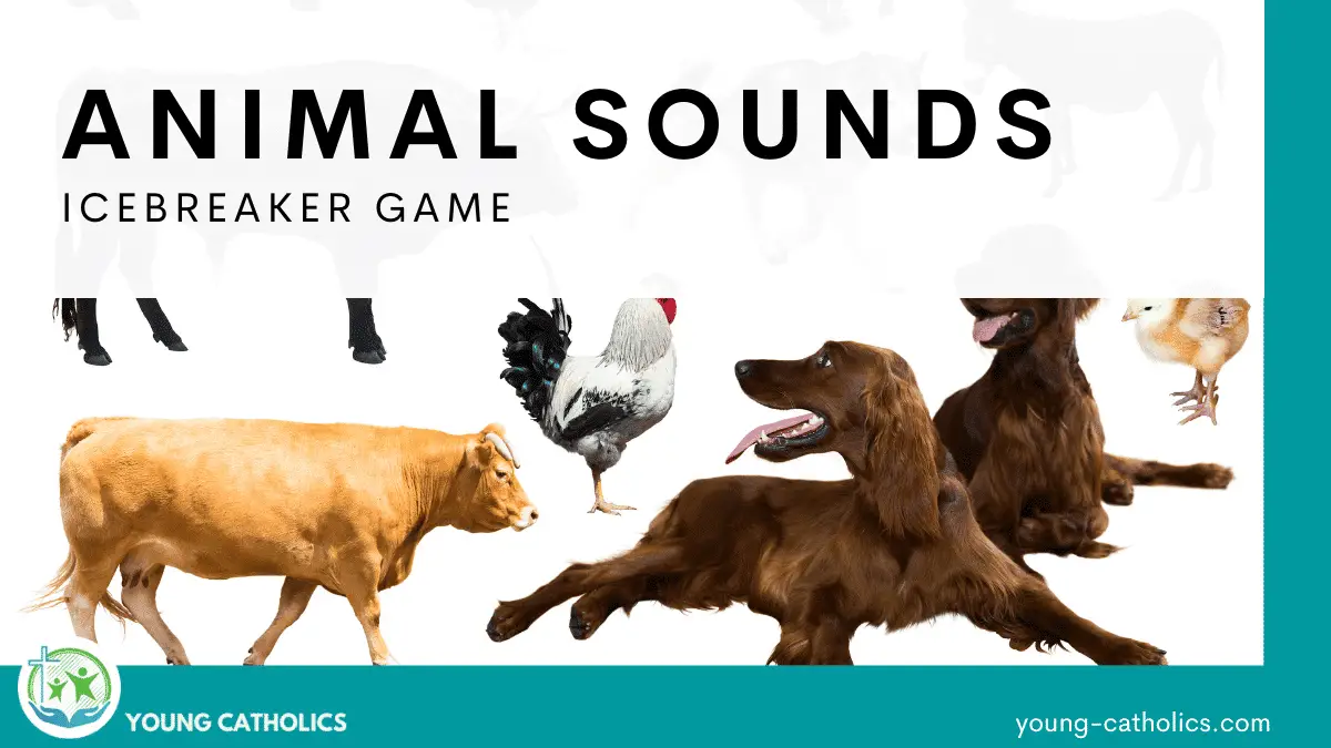 animal-sounds-game-young-catholics