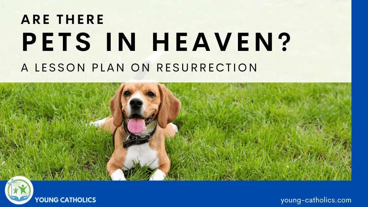 Are There Pets In Heaven? – A Lesson Plan on Resurrection